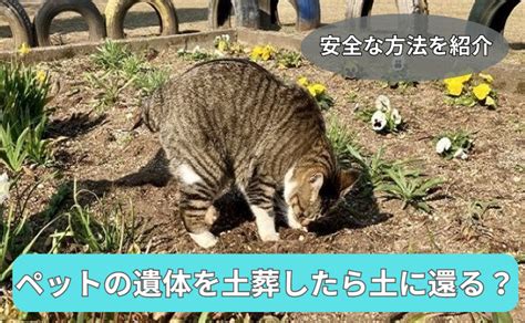 動物埋葬方法|ペットの遺体を土葬したら土に還る？安全な方法を紹介